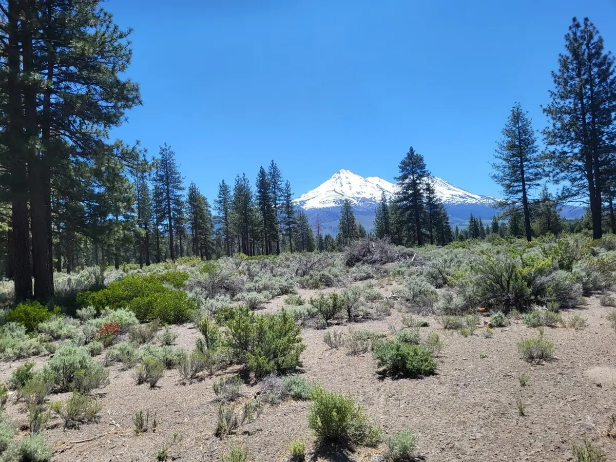 11 Acres A-12, Montague, CA 96064 - #1