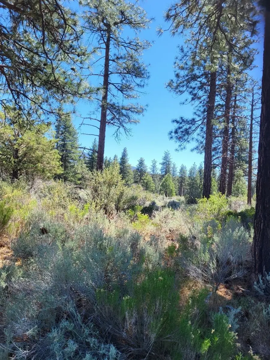 11 Acres A-12, Montague, CA 96064 - #2