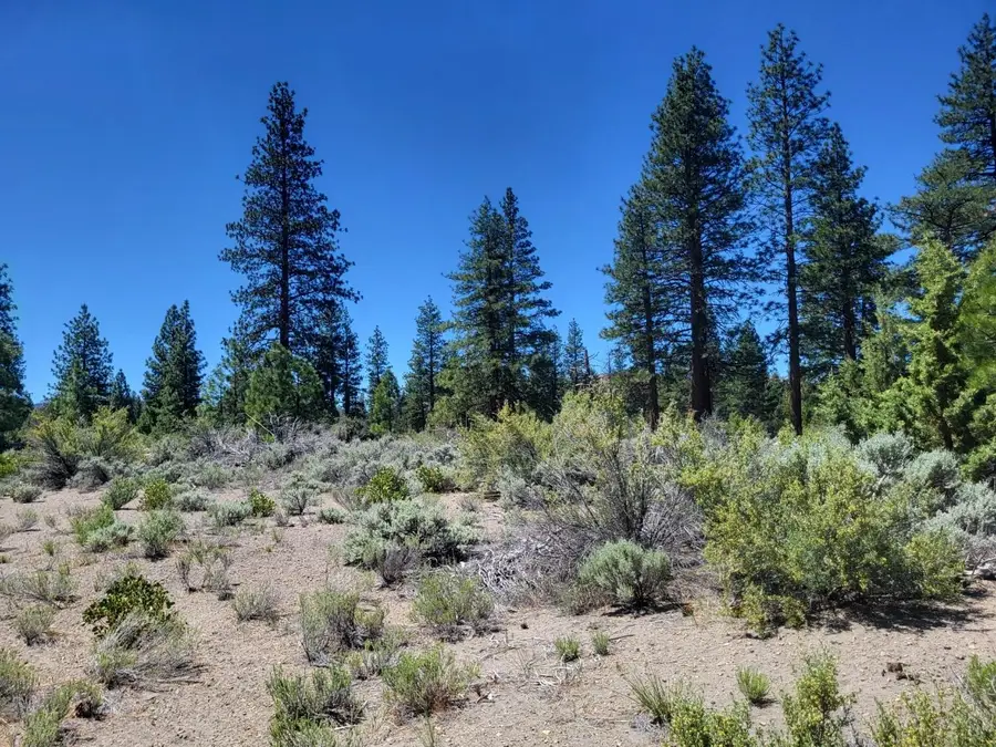 11 Acres A-12, Montague, CA 96064 - #3