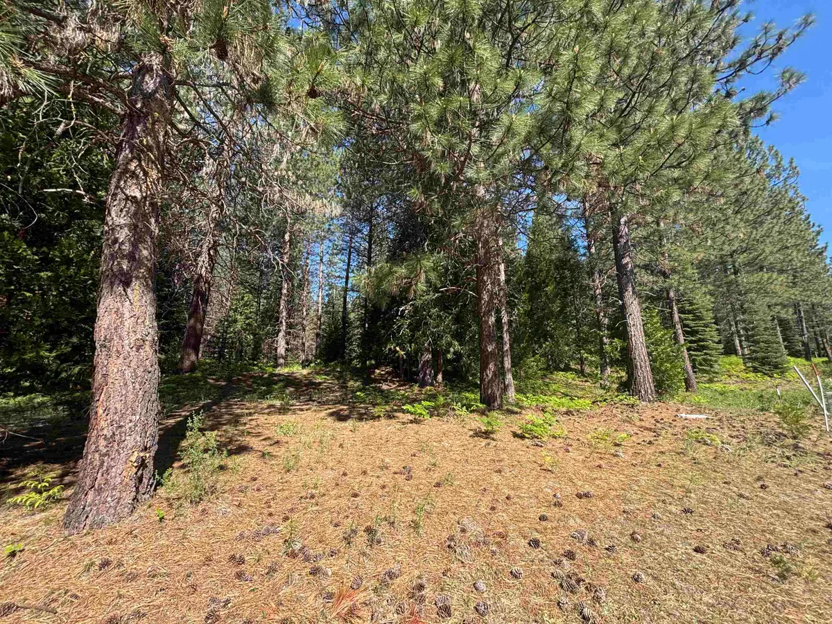 Lot 14 Old Mill Dr, McCloud, CA 96057 - #1