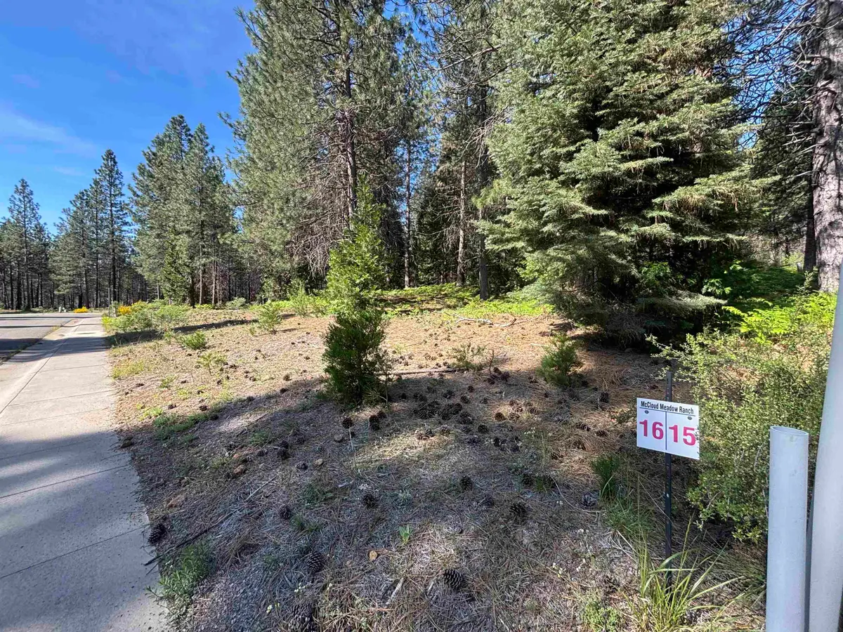 Lot 16 Old Mill, McCloud, CA 96057 - #1