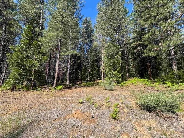 Lot 17 Old Mill, McCloud, CA 96057