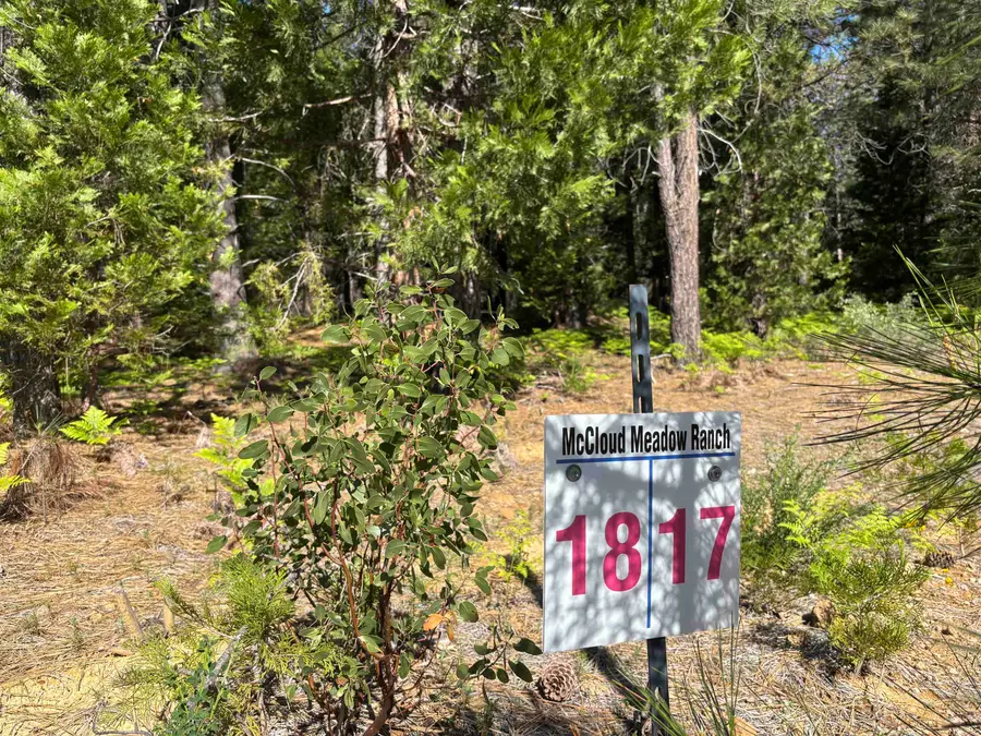 Lot 17 Old Mill, McCloud, CA 96057 - #2