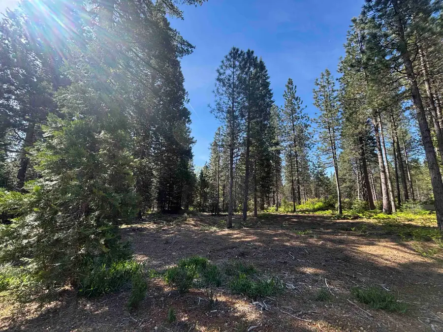 Lot 22 Old Mill, McCloud, CA 96057 - #2