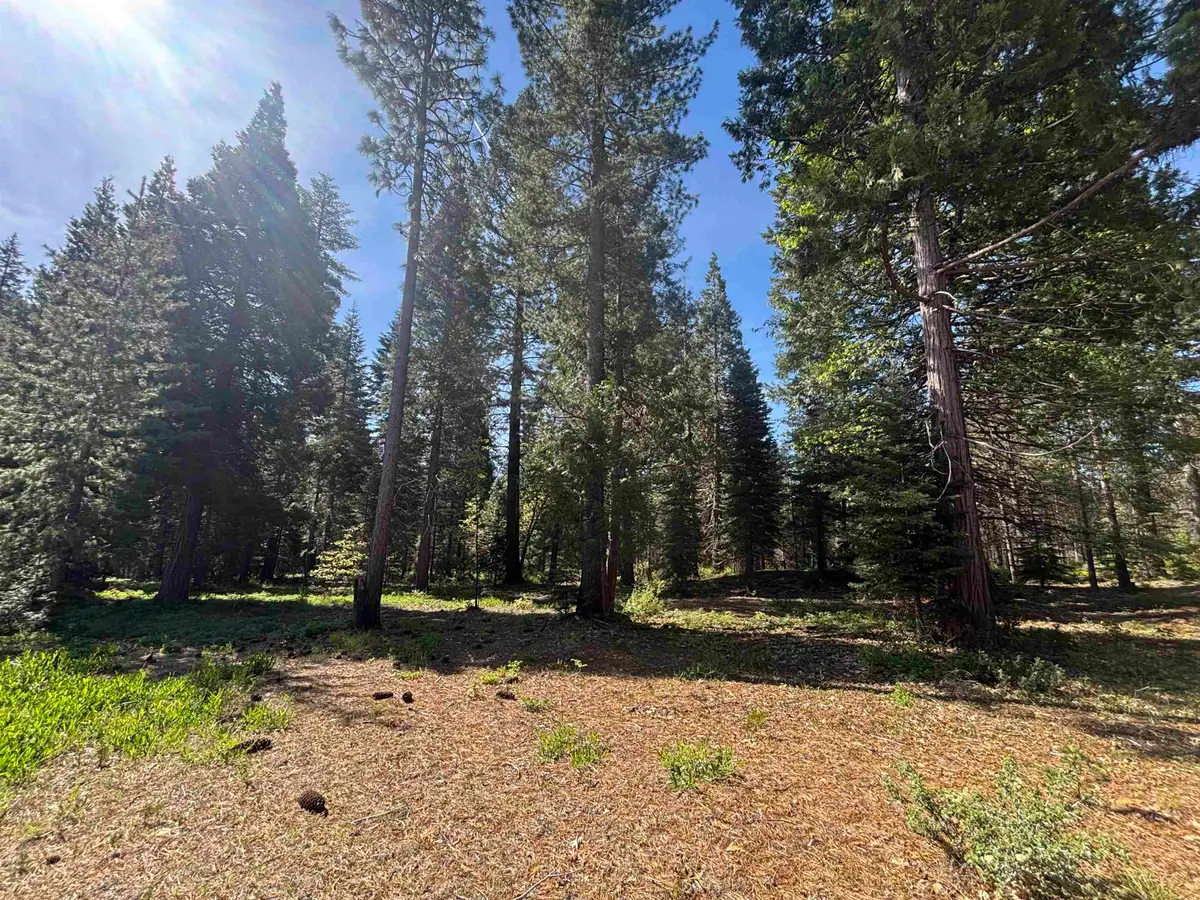 Lot 23 Old Mill, McCloud, CA 96057 - #1