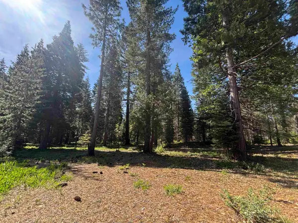 Lot 23 Old Mill, McCloud, CA 96057