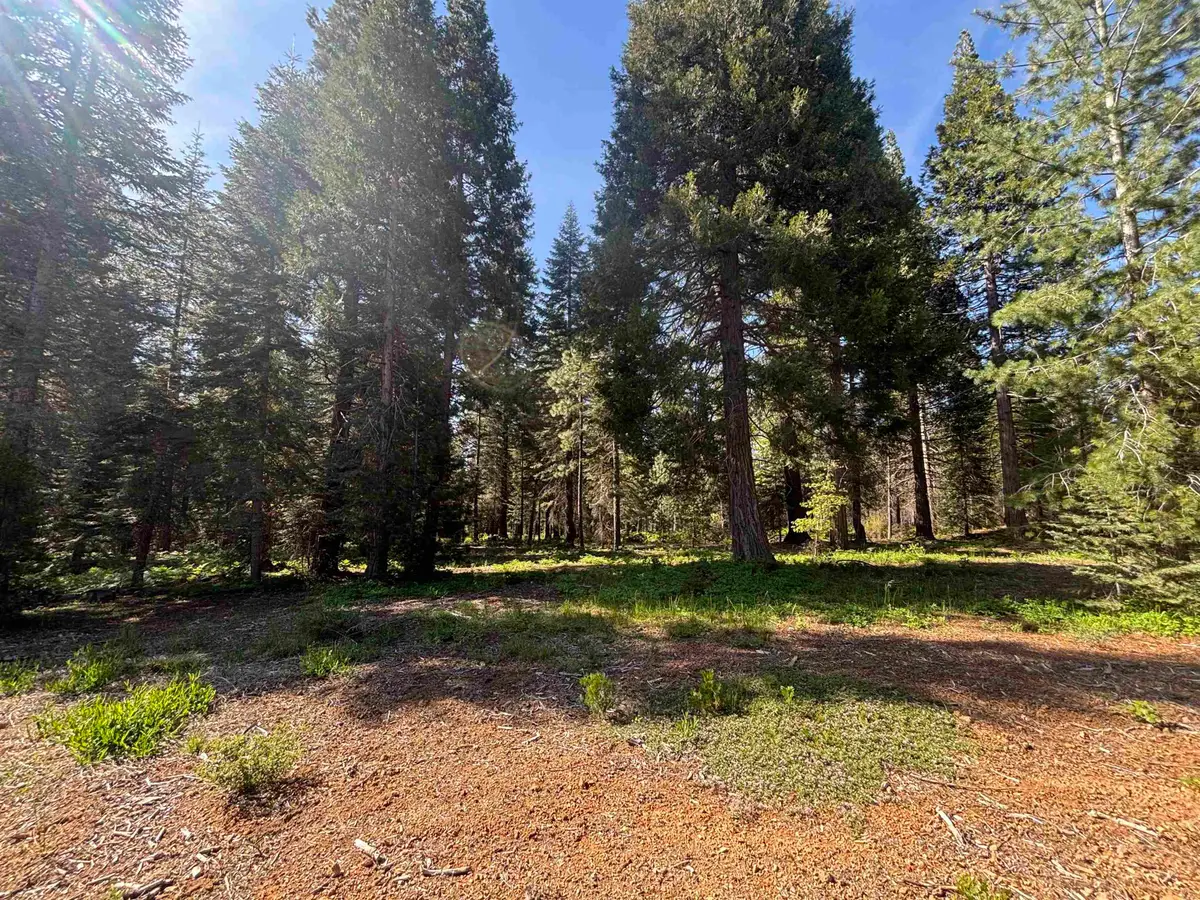 Lot 24 Old Mill, McCloud, CA 96057 - #1
