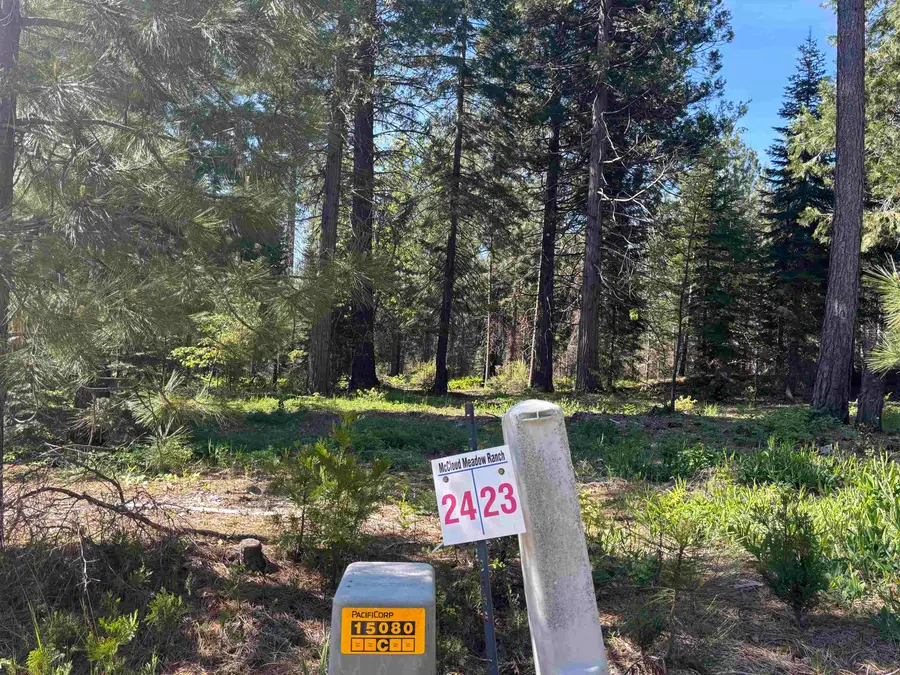 Lot 24 Old Mill, McCloud, CA 96057 - #2