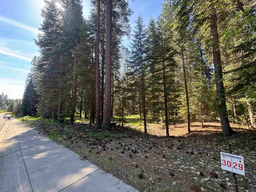 Lot 30 Old Mill, McCloud, CA 96057 - #2