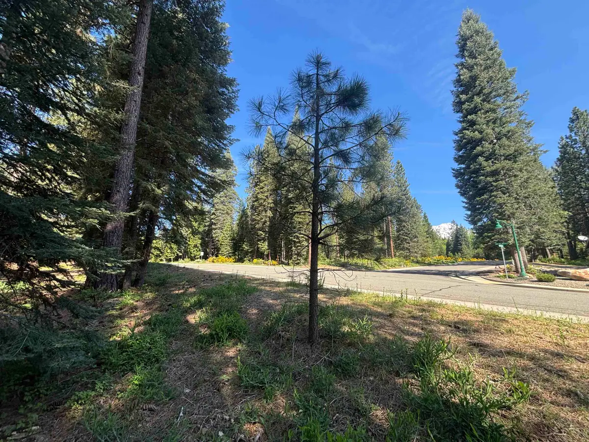 Lot 31 Old Mill, McCloud, CA 96057 - #1