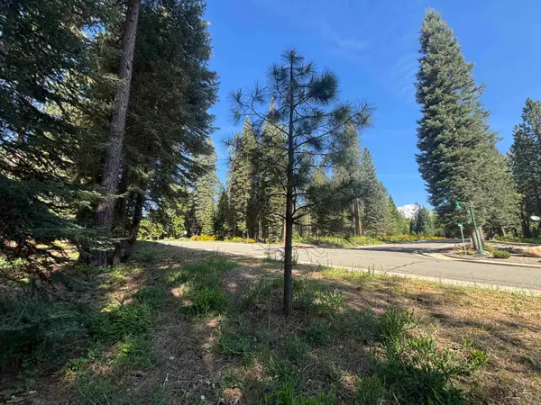 Lot 31 Old Mill, McCloud, CA 96057
