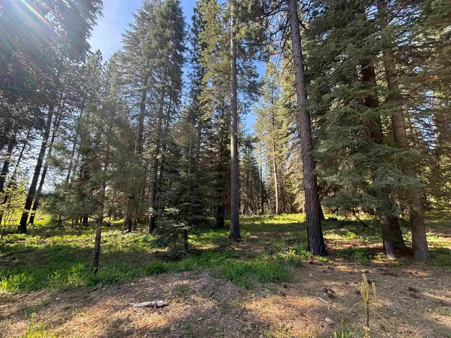 Lot 31 Old Mill, McCloud, CA 96057 - #3