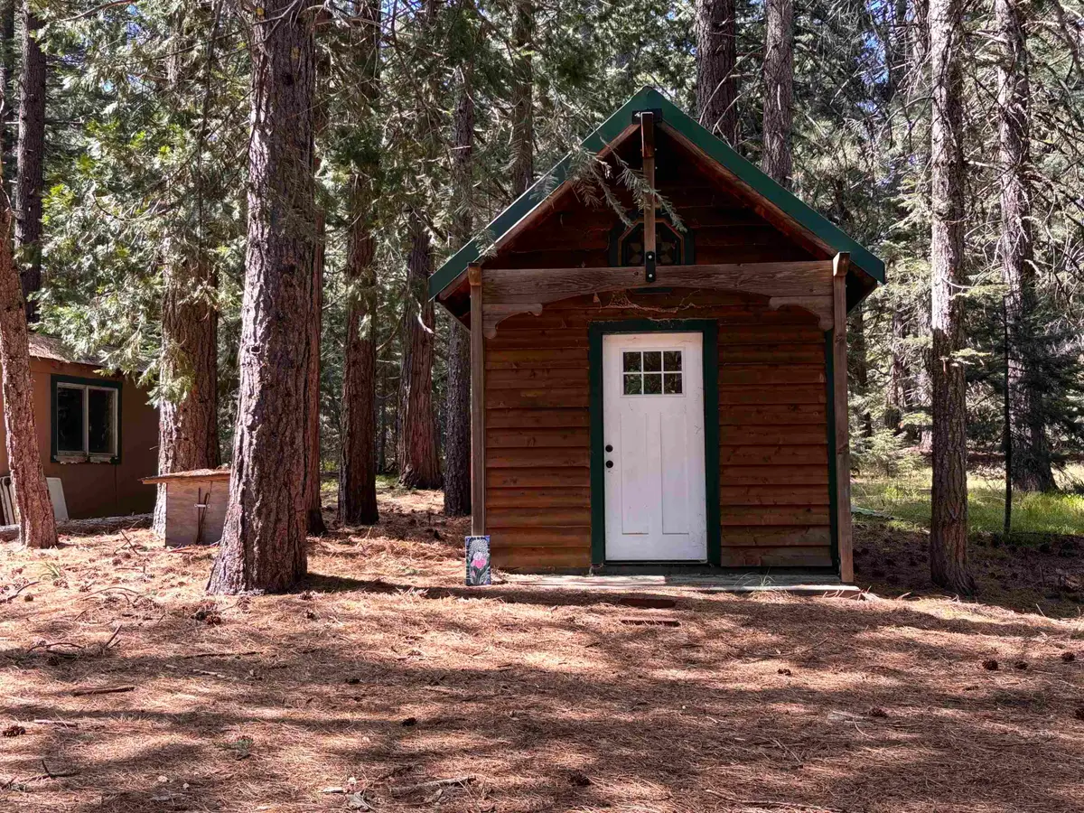 3 - E - 11 Mt Shasta Dr, McCloud, CA 96057 - #1