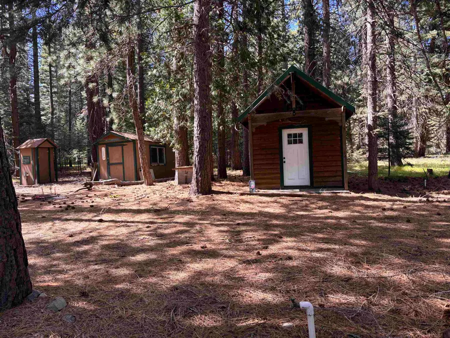 3 - E - 11 Mt Shasta Dr, McCloud, CA 96057 - #2