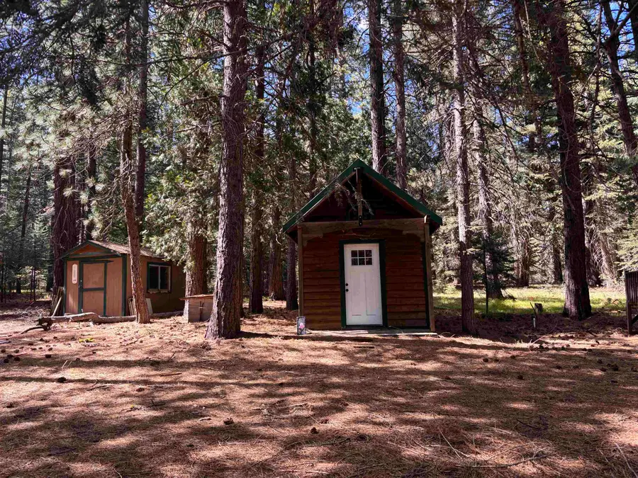 3 - E - 11 Mt Shasta Dr, McCloud, CA 96057 - #3