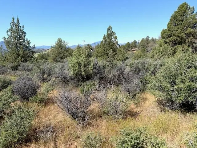 Unit 5 Lot147 Iron gate Lake, Fawn Rd, Hornbrook, CA 96044 - #1