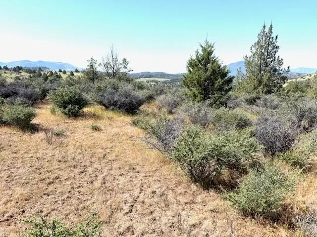 Unit 5 Lot147 Iron gate Lake, Fawn Rd, Hornbrook, CA 96044 - #2