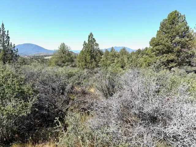 Unit 5 Lot147 Iron gate Lake, Fawn Rd, Hornbrook, CA 96044 - #3