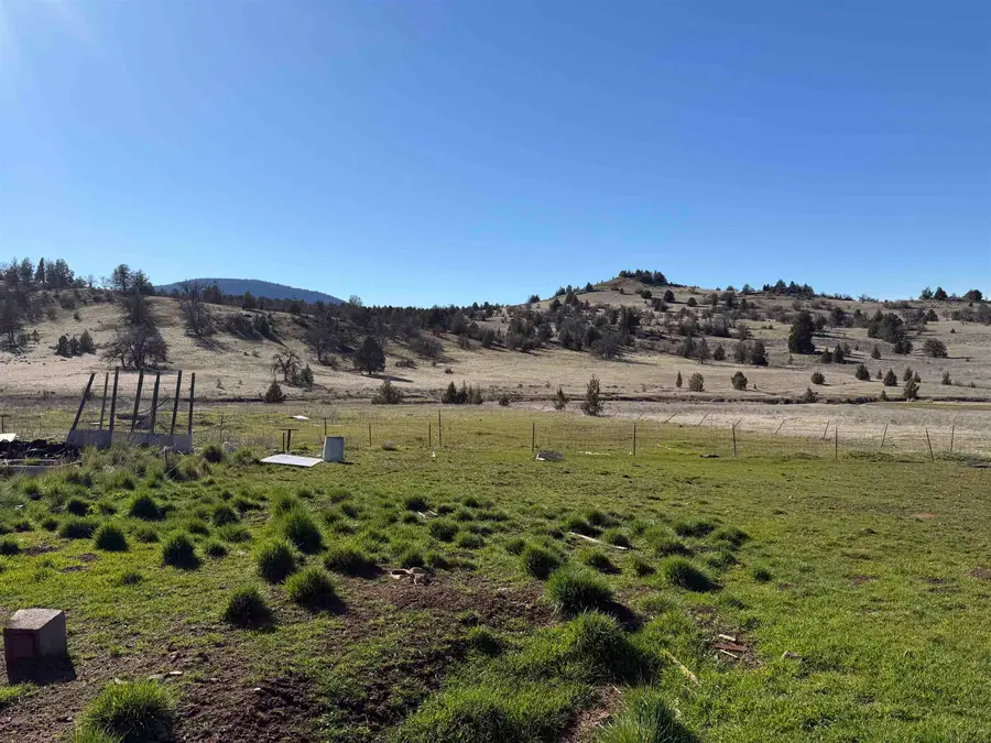 10401 Desavado Rd, Montague, CA 96064 - #3