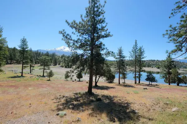 Lot 79 Spearpoint Drive, Weed, CA 96094