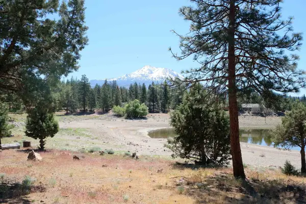 Lot 81 Spearpoint Rd, Weed, CA 96094