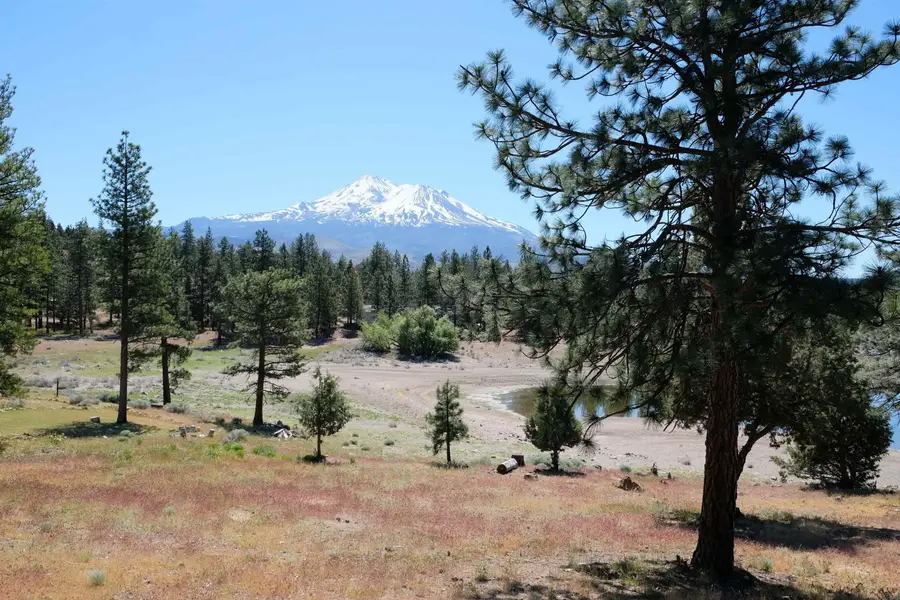 Lot 81 Spearpoint Rd, Weed, CA 96094 - #3