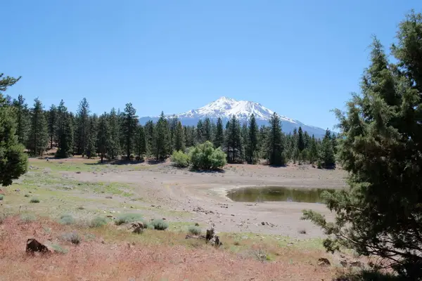 Lot 82 Spearpoint Rd, Weed, CA 96094