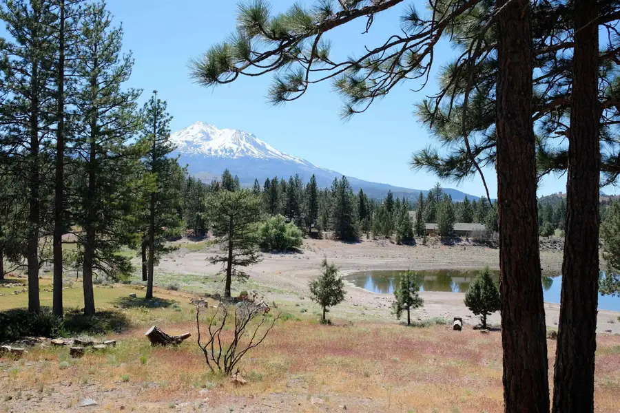 Lot 82 Spearpoint Rd, Weed, CA 96094 - #3