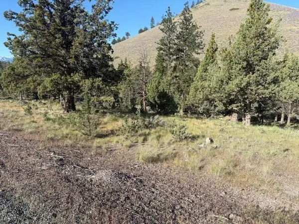 Unit 5-4 Lot 13 Lake Shastina, Mt Blanch Dr., Weed, CA 96094