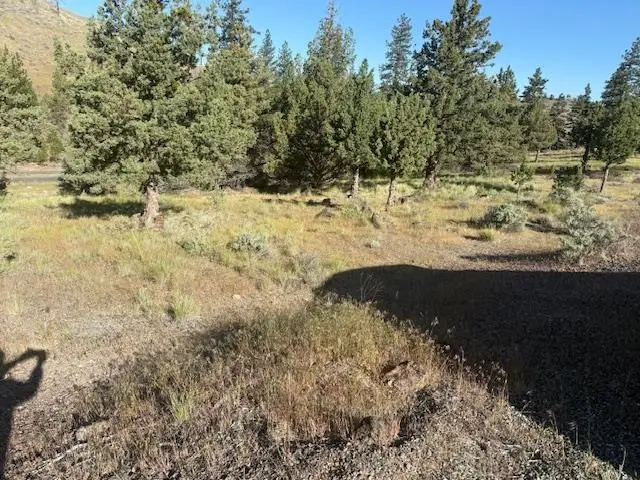 Unit 5-4 Lot 13 Lake Shastina, Mt Blanch Dr., Weed, CA 96094 - #2