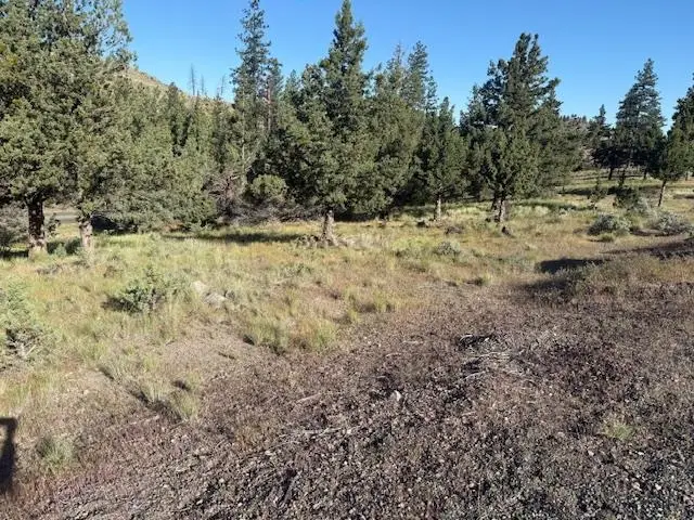 Unit 5-4 Lot 13 Lake Shastina, Mt Blanch Dr., Weed, CA 96094 - #3