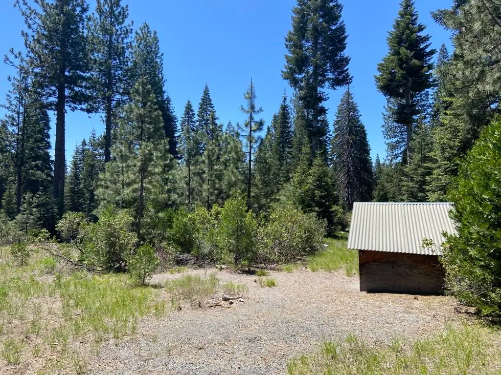 3-E-42 Red Fir Rd, McCloud, CA 96057 - #1