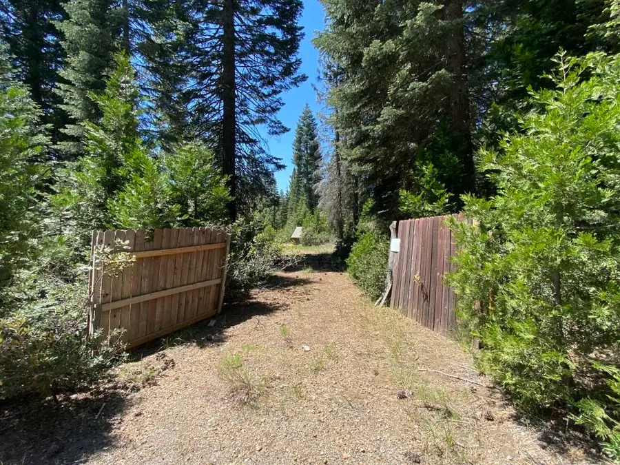 3-E-42 Red Fir Rd, McCloud, CA 96057 - #2