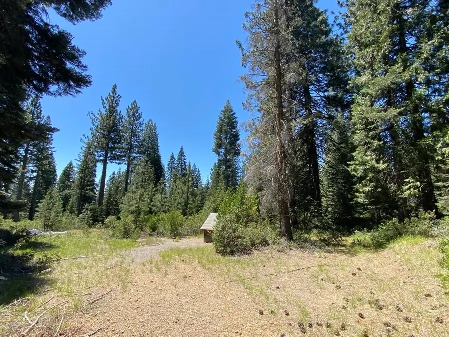 3-E-42 Red Fir Rd, McCloud, CA 96057 - #3