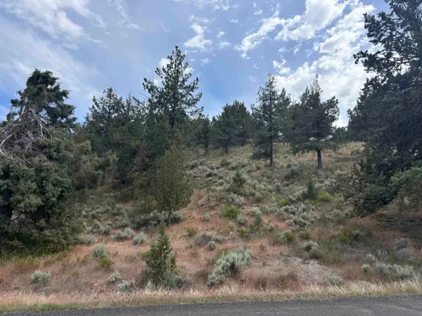 Unit 3 Lot 6 Lakeshore, Weed, CA 96094
