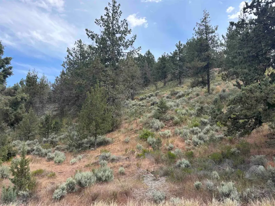 Unit 3 Lot 6 Lakeshore, Weed, CA 96094 - #2