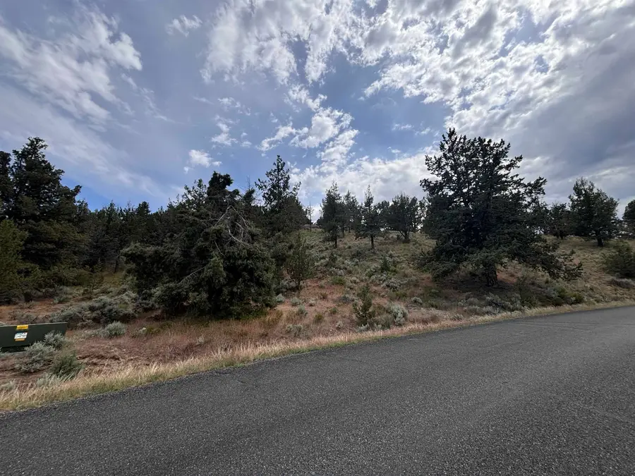 Unit 3 Lot 6 Lakeshore, Weed, CA 96094 - #3