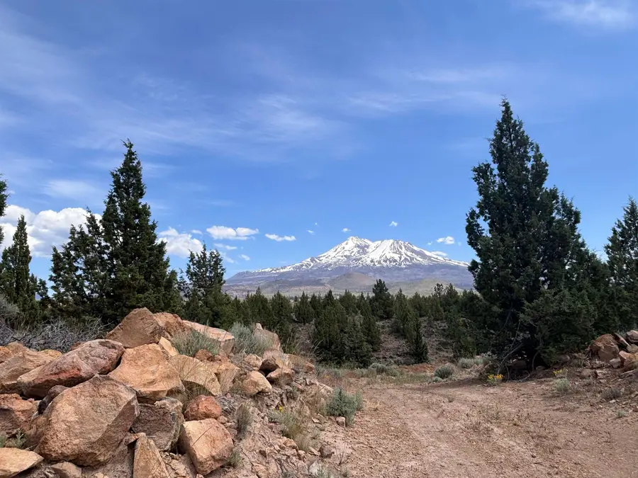 2-14 Trinity Trail Place, Weed, CA 96094 - #2