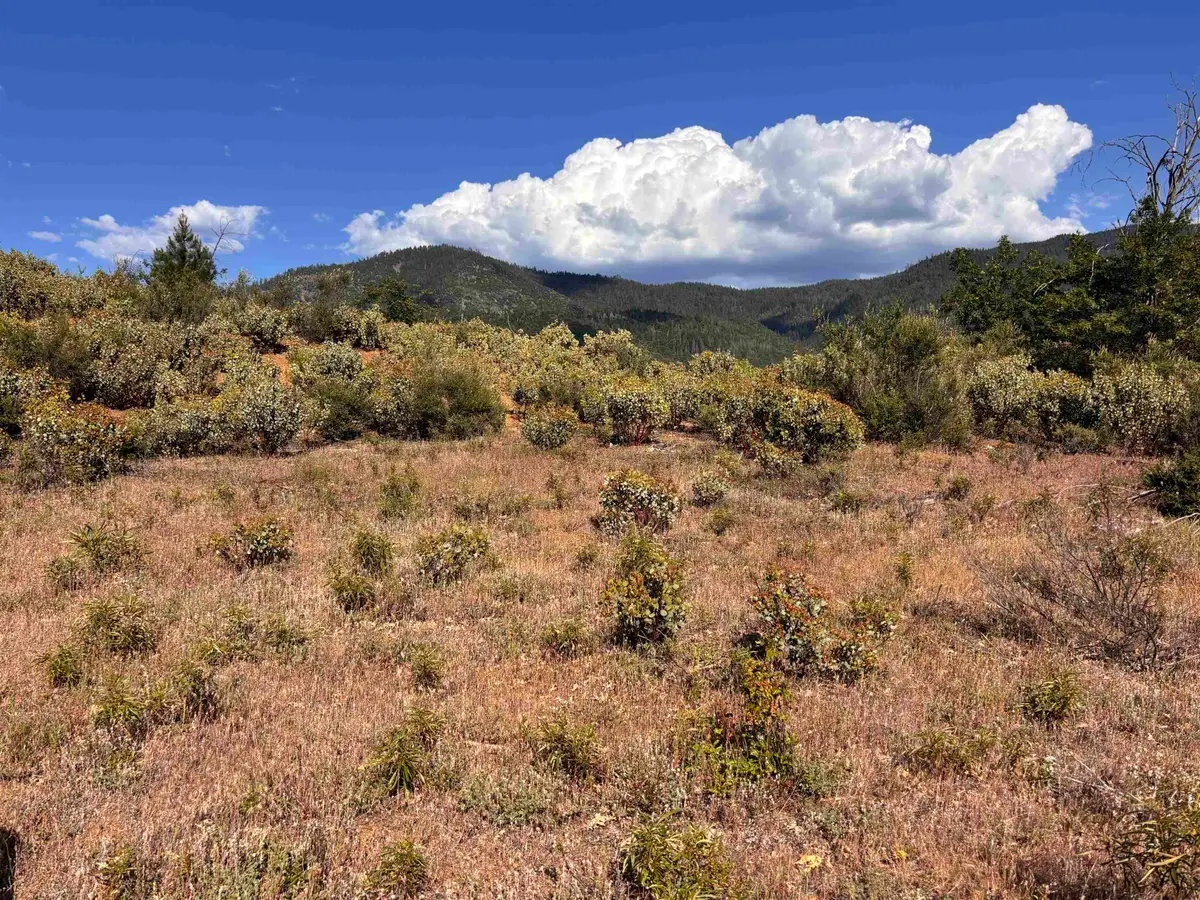 Unit 3- Lot 13 Scott River Rd, Scott Bar, CA 96085 - #1