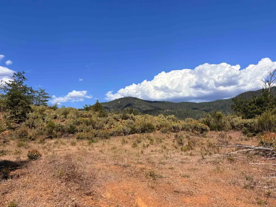 Unit 3- Lot 13 Scott River Rd, Scott Bar, CA 96085 - #2