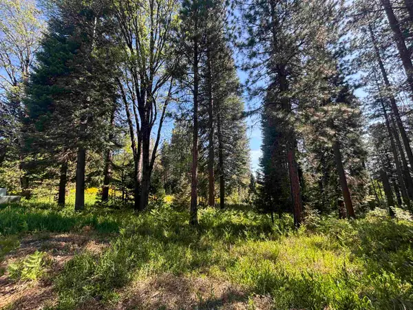 Lot 34 Mill House, McCloud, CA 96057