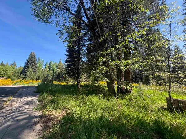 Lot 35 Mill House, McCloud, CA 96057