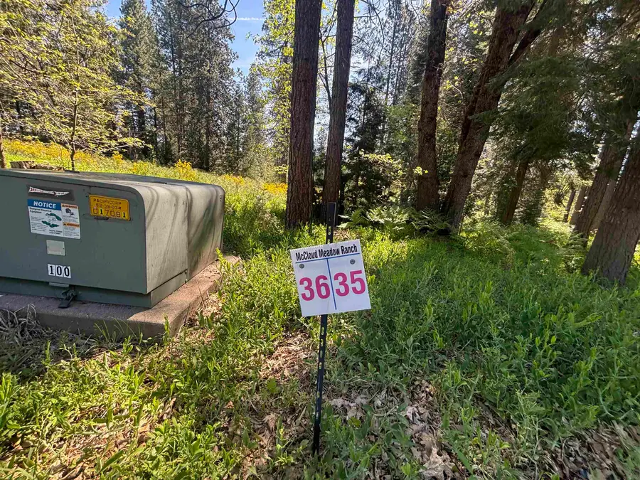 Lot 35 Mill House, McCloud, CA 96057 - #2