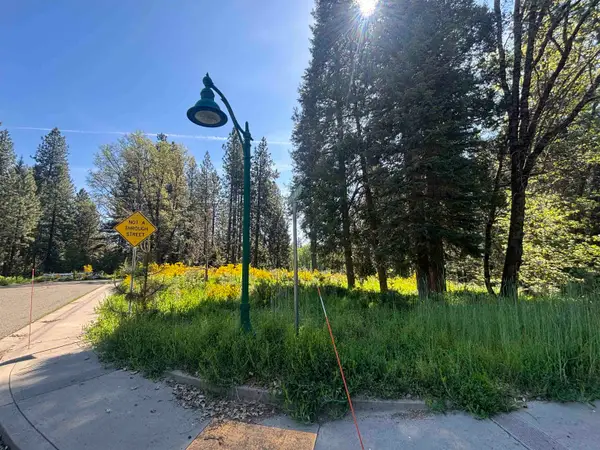 Lot 36 Mill House, McCloud, CA 96057