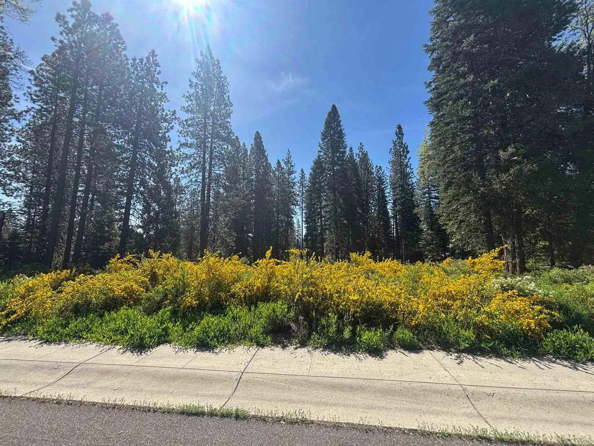 Lot 37 Panther Meadow, McCloud, CA 96057 - #1