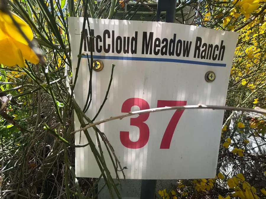 Lot 37 Panther Meadow, McCloud, CA 96057 - #2