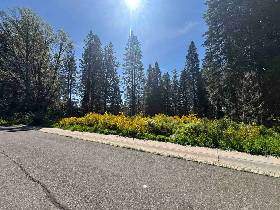 Lot 37 Panther Meadow, McCloud, CA 96057 - #3