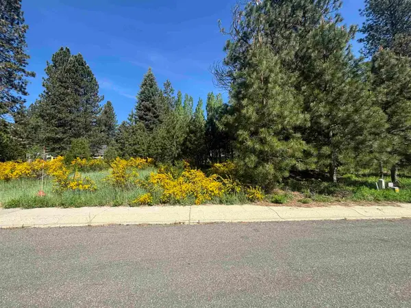 Lot 38 Panther Meadow, McCloud, CA 96057