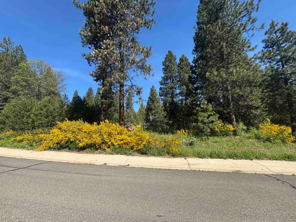 Lot 39 Panther Meadow, McCloud, CA 96057 - #1