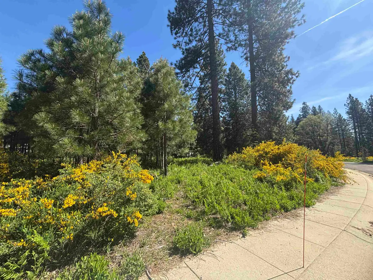 Lot 40 Panther Meadow, McCloud, CA 96057 - #1